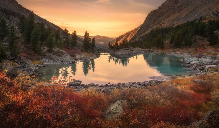 2024-climate-report-131556918