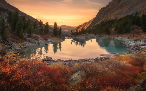 2024-climate-report-131556918