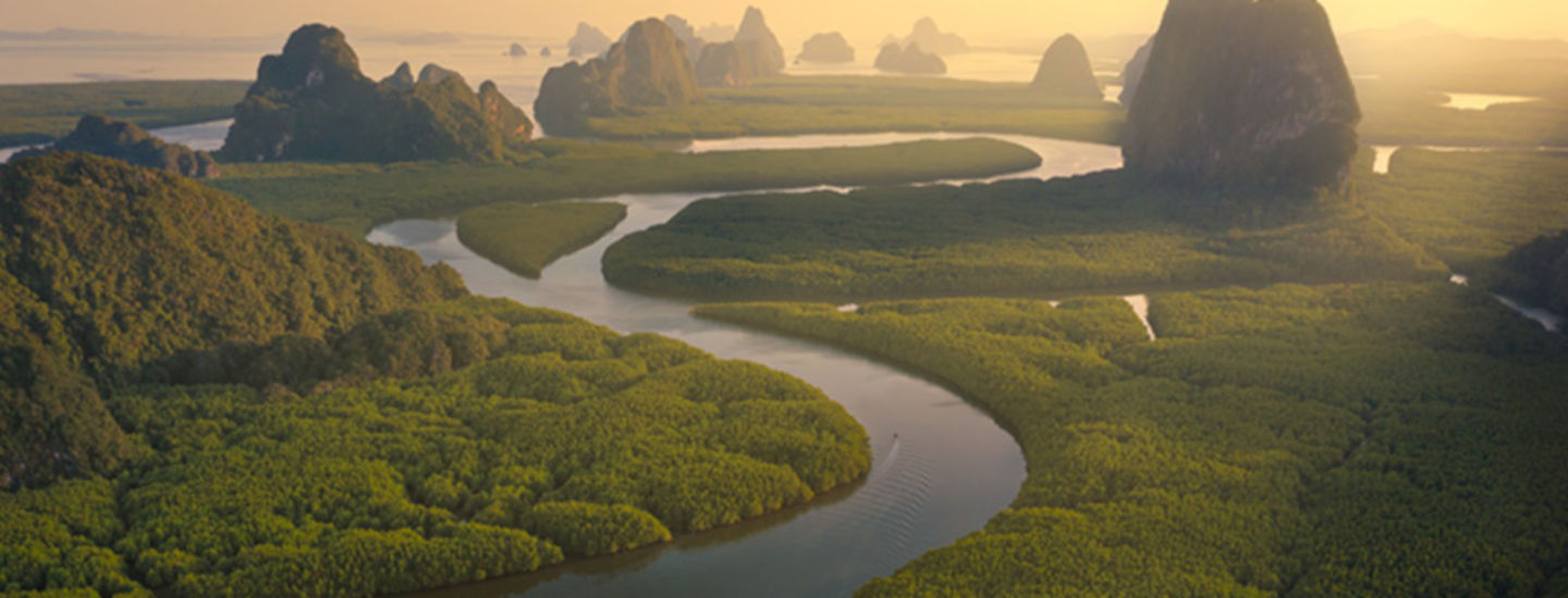 93562_FullWidthHero_2022-climate-report_1145436202_768x450