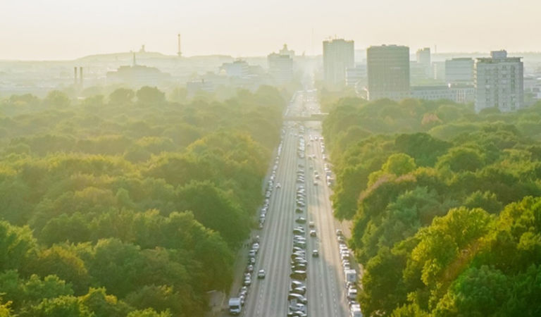 Aerial-view-of-road-and-trees-1550x450.jpg