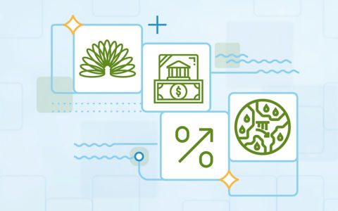 Mid Year Outlook Designs 4_sd_v2