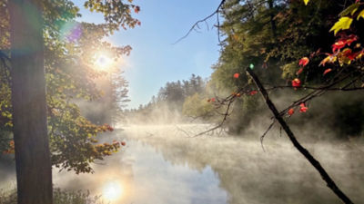 Bay Pond Still