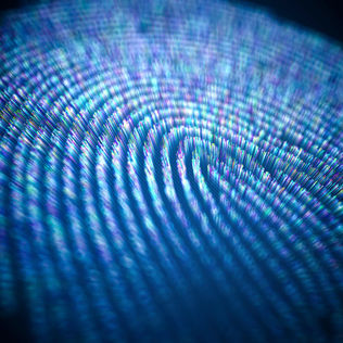 blue-maze-1148109717-316x316