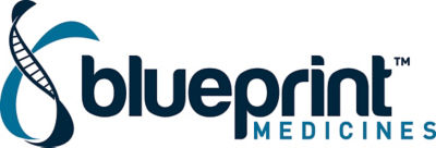 Blueprint_Logo_PMS
