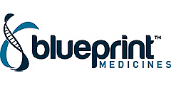 Blueprint_Logo_PMS