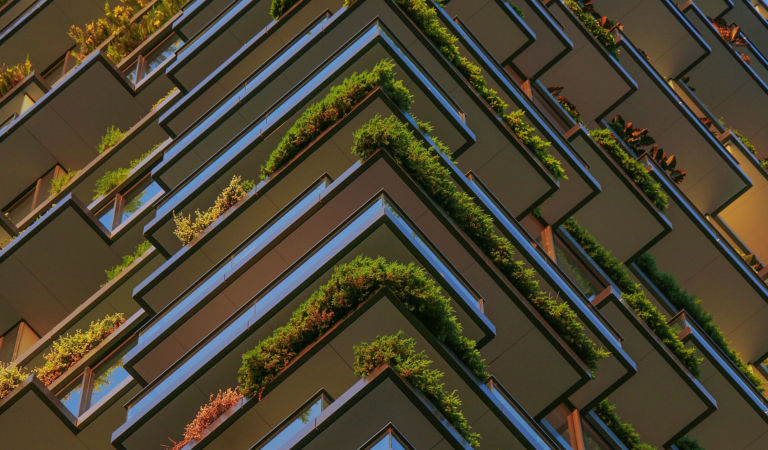 Full Frame Shot of Plants Hanging in the Balconies of a High Riser Building.