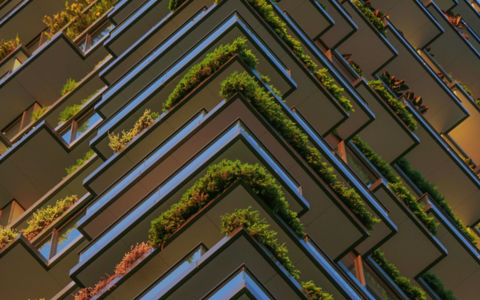 Full Frame Shot of Plants Hanging in the Balconies of a High Riser Building.