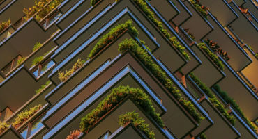 Full Frame Shot of Plants Hanging in the Balconies of a High Riser Building.