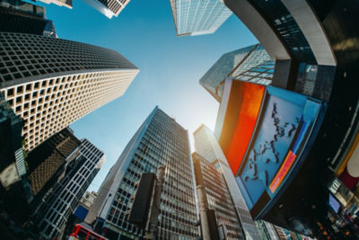 1000664442