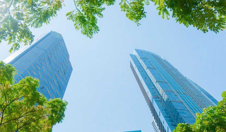 building from the eyes of trees