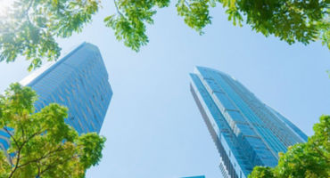 building from the eyes of trees