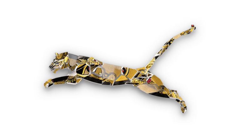 cat-720x450-white-v1