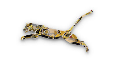 cat-720x450-white-v1