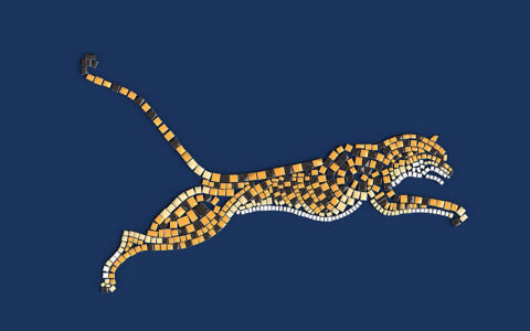 cat-navy-nee3-720x450