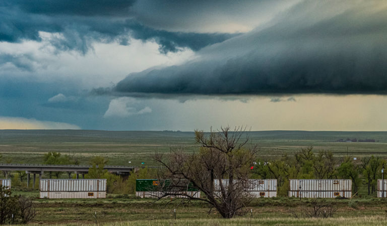 Clouds lying deeply in forest