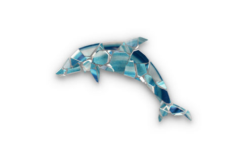 dolphin-720x450-white-v1