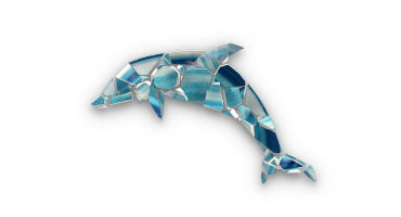 dolphin-720x450-white-v1
