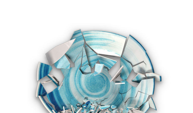 dolphin-plate-720x450-white-v1