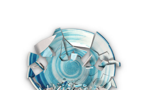 dolphin-plate-720x450-white-v1