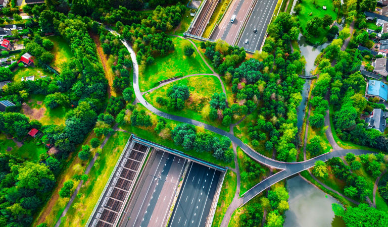 Drone photo of a green bridge park highway in the Netherlands