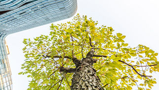 euro-credit-esg-fund