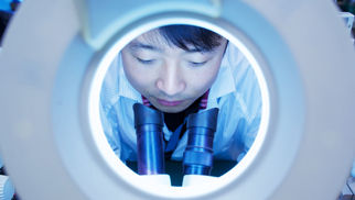 feature-fund-card-thematic-perspectives-475151305