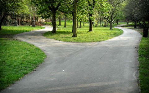 Forked road in St. James Gardens, Liverpool. St James's Cemetery is an urban park behind the Liverpool Cathedral. This photo symbolise a choice between two different paths. Diminishing perspective point of view..
