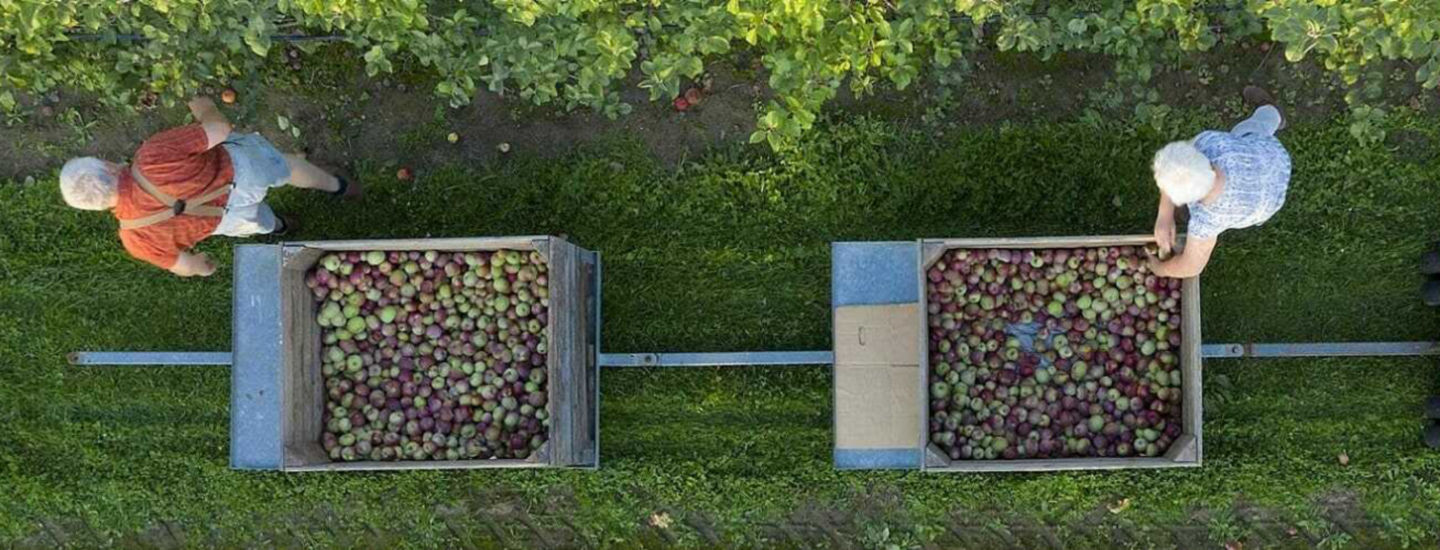 fruits-trolly-1920x500