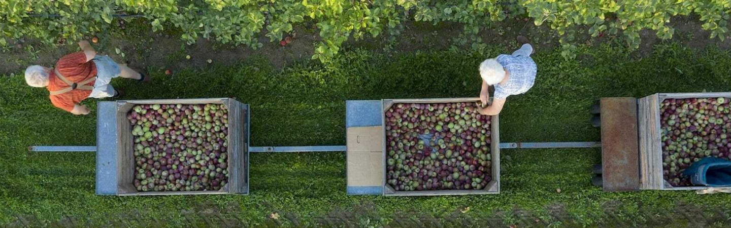 fruits-trolly-1920x500