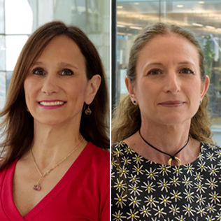 ann gallo and arancha cano