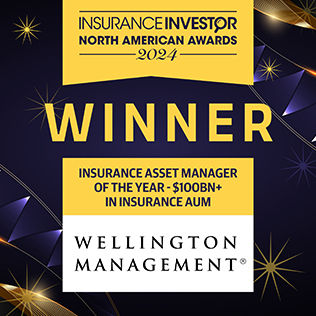 news-insurance-asset-manager-logo