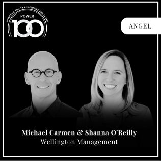 news-wellington-an-2