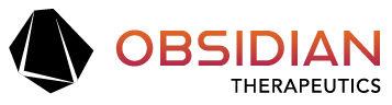 Obsidian Logo