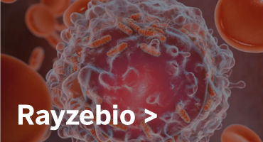 pi-razyebio-case-study