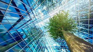 sustainable-investments-1423506444-card