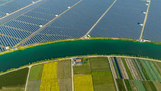 top-garden-1416163354_322x182