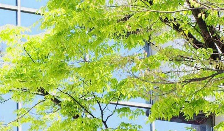 tree-near-glass-building-1680x525