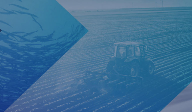 wellington hero symbol rombus curve