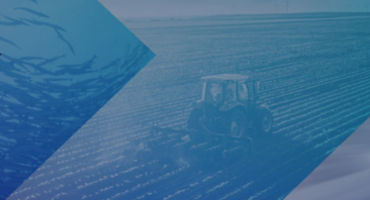 wellington hero symbol rombus curve