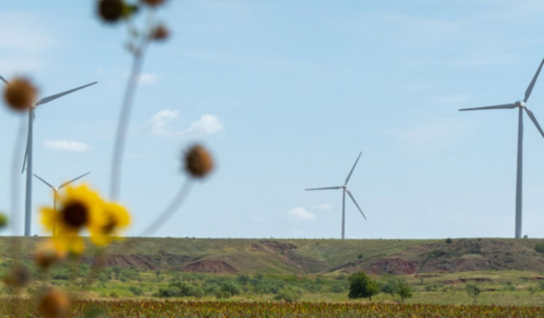 windmill in sunflower farm