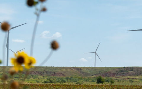 windmill in sunflower farm