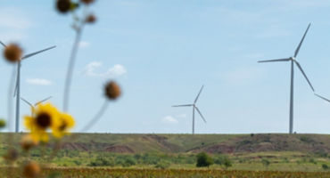 windmill in sunflower farm
